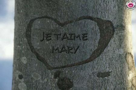 a toi ma belle prencise